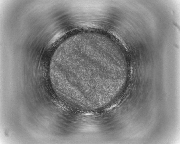 X0000093170919200710241037