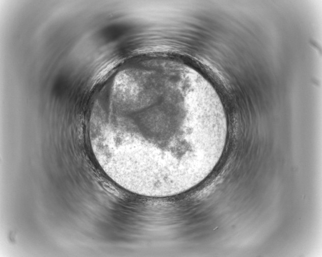 X0000093170921200710241037