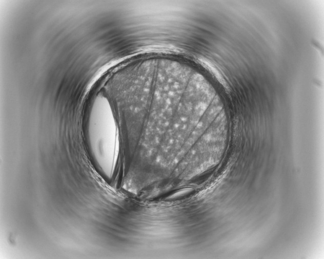 X0000093170923200710241037