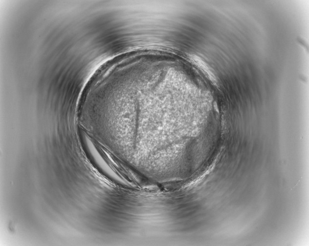 X0000093170924200710241037