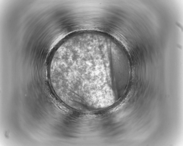 X0000093170925200710241037