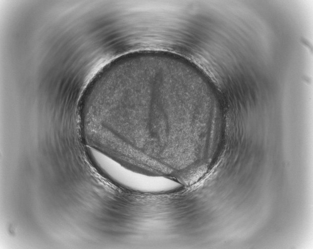 X0000093170926200710241037