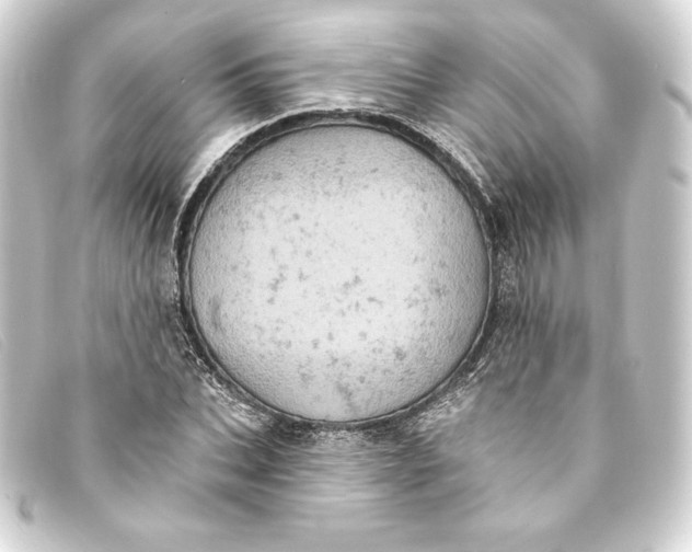 X0000093170927200710241037