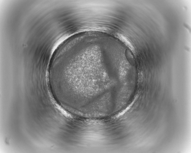 X0000093170928200710241037