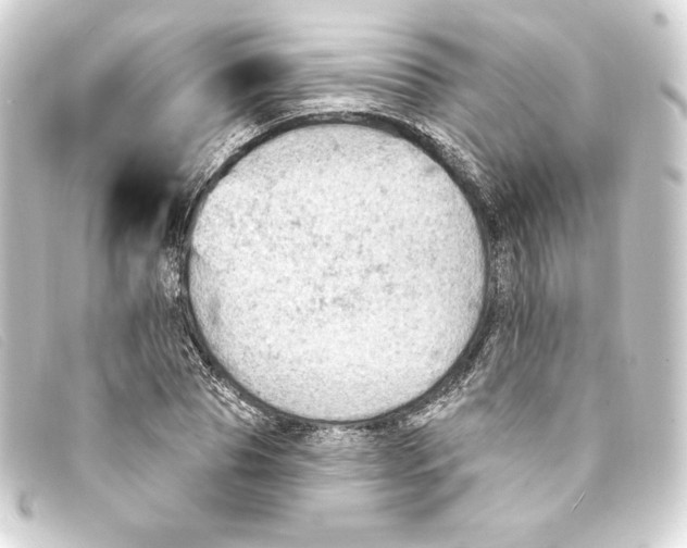 X0000093170929200710241037