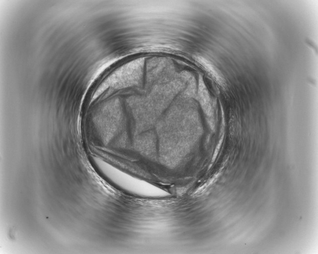 X0000093170932200710241037