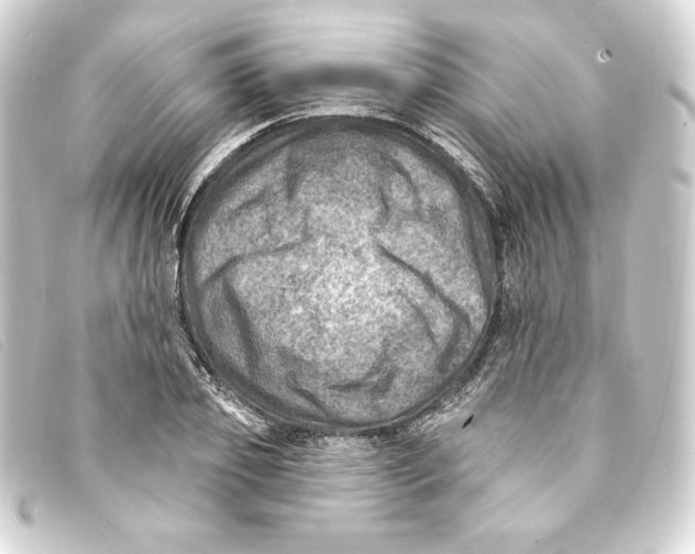 X0000093170933200710241037