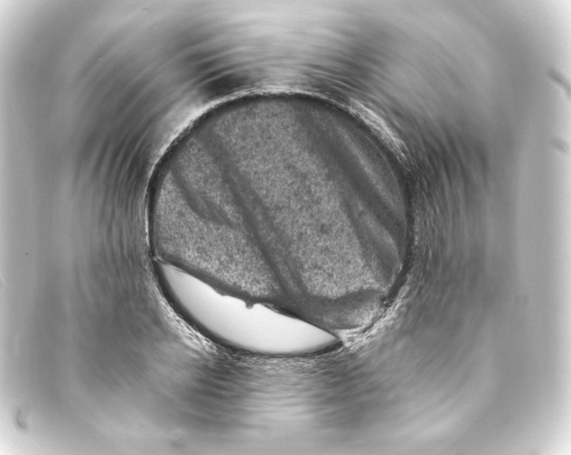 X0000093170934200710241037