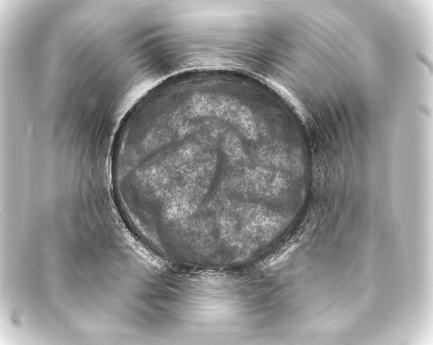 X0000093170935200710241037