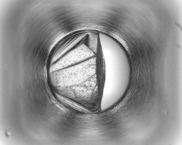 X0000093170936200710241037