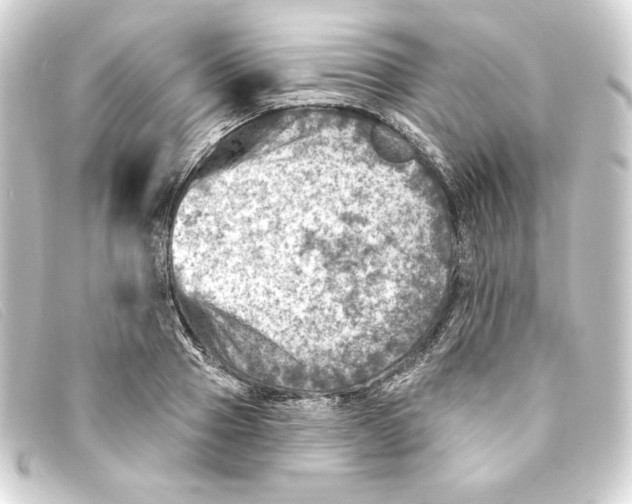 X0000093170937200710241037