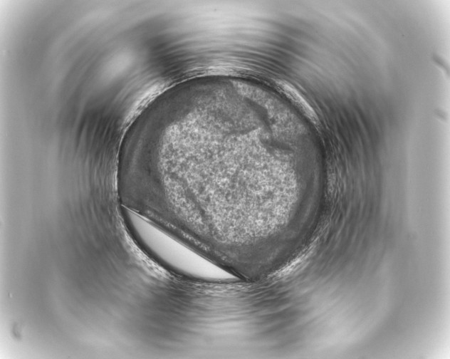 X0000093170938200710241037