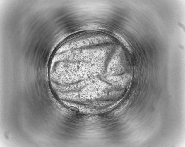 X0000093170939200710241037