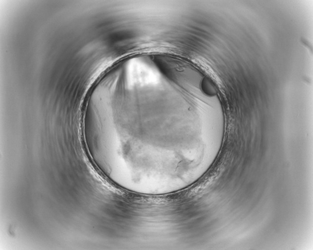 X0000093170941200710241037