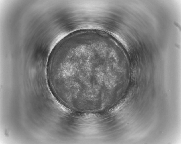 X0000093170943200710241037