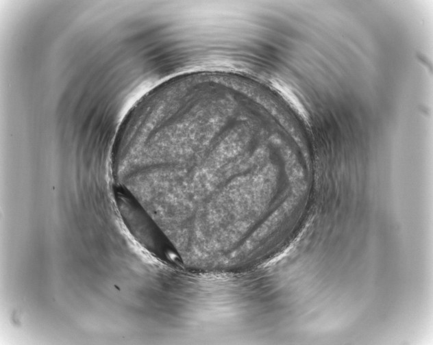 X0000093170944200710241037