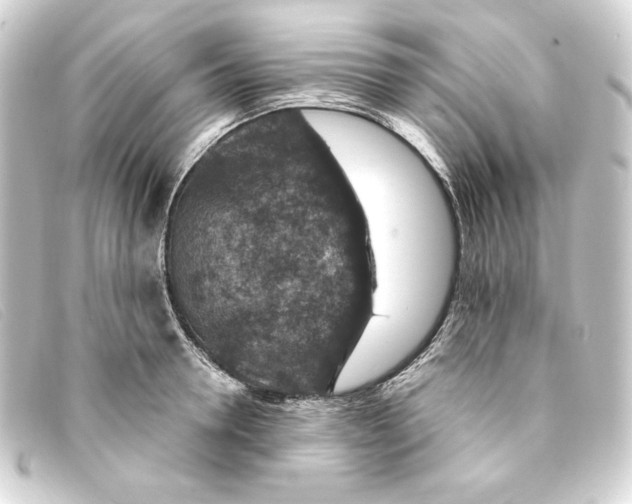 X0000093170946200710241037