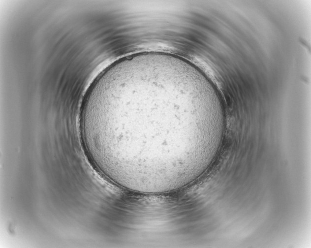 X0000093170947200710241037