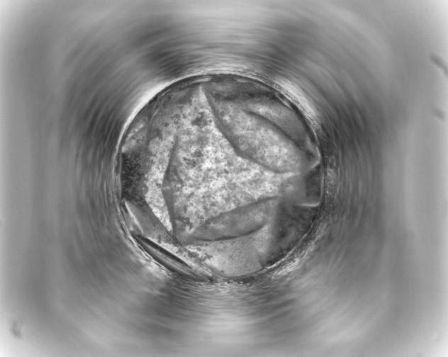 X0000093170948200710241037