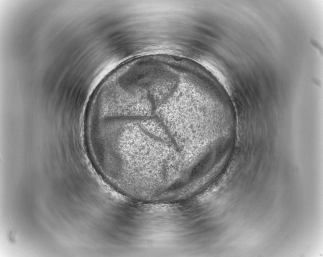 X0000093170949200710241037