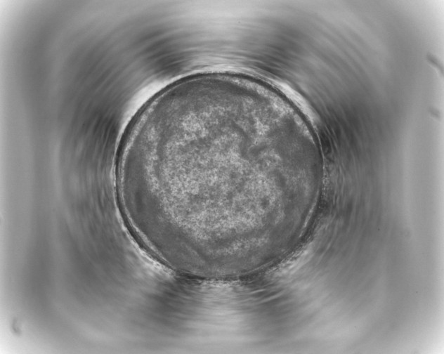 X0000093170951200710241037