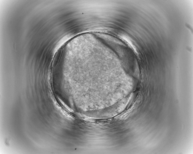 X0000093170952200710241037