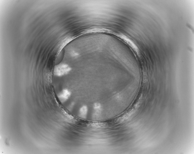 X0000093170953200710241037