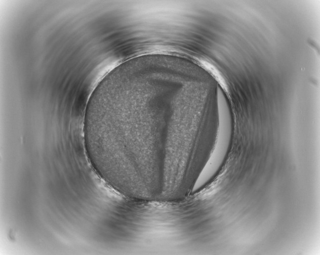 X0000093170954200710241037