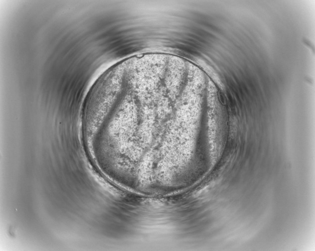 X0000093170955200710241037