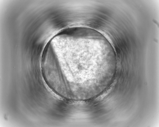 X0000093170957200710241037