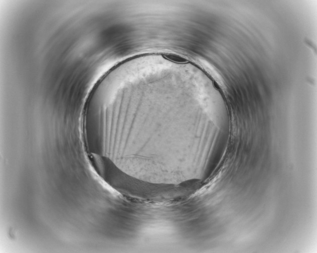 X0000093170958200710241037