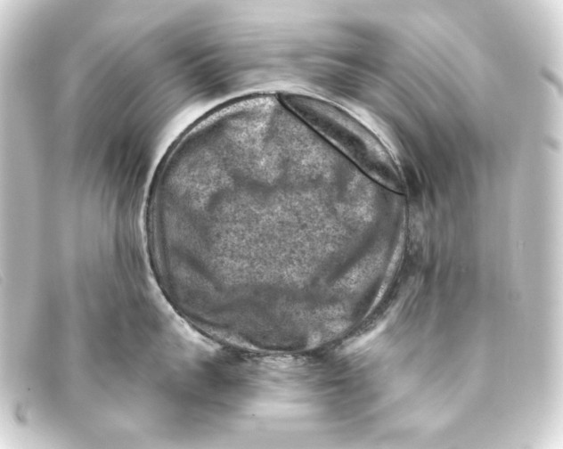 X0000093170959200710241037