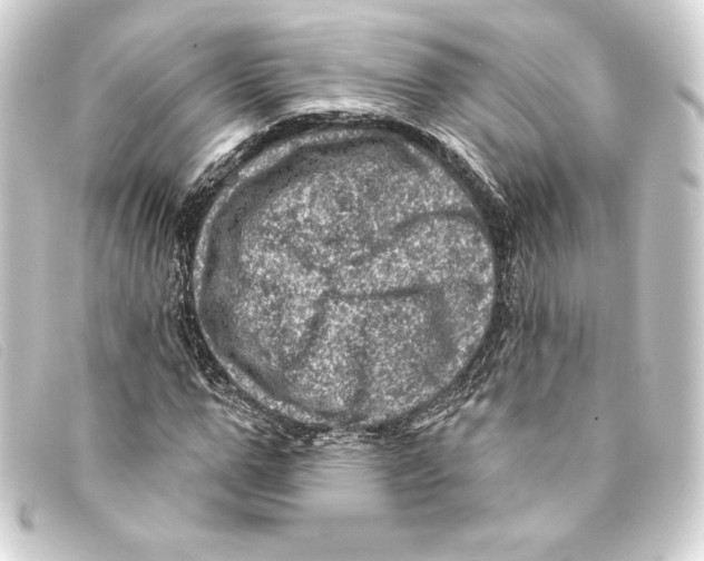 X0000093170967200710241036