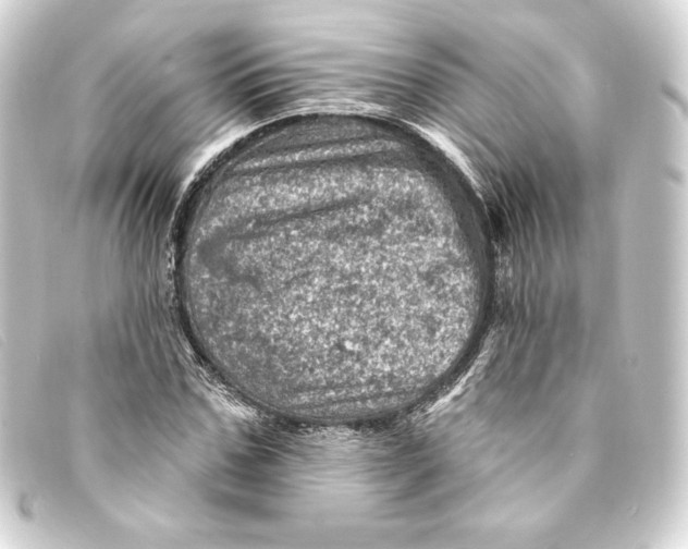 X0000093170971200710241036