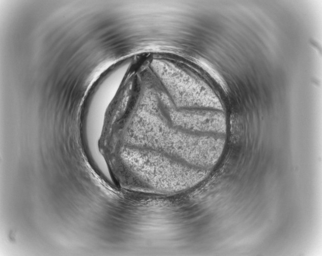 X0000093170972200710241036