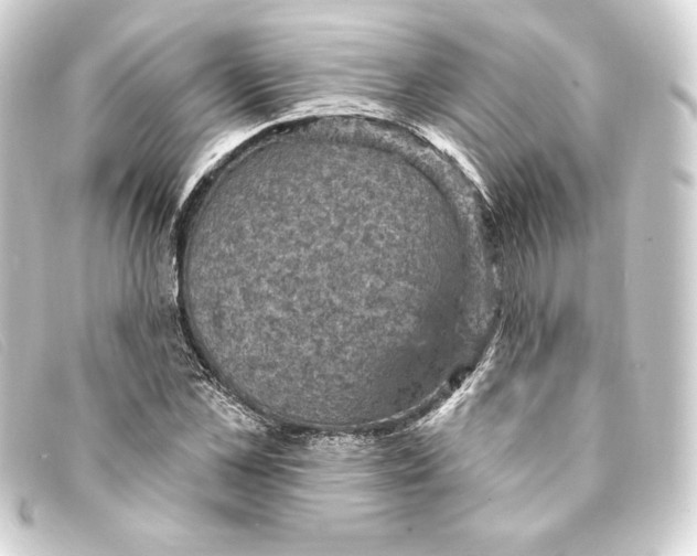 X0000093170973200710241036