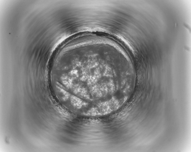 X0000093170975200710241036