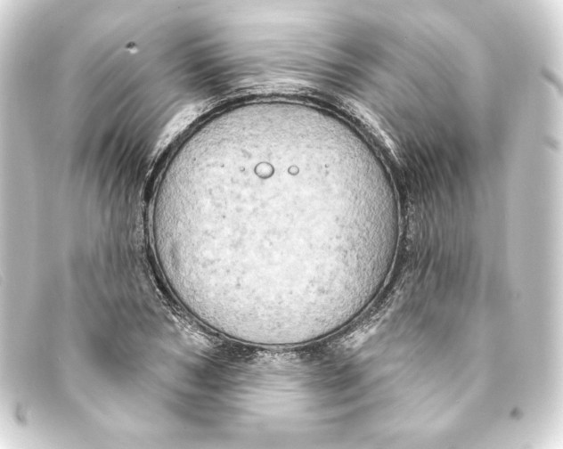 X0000093170978200710241036