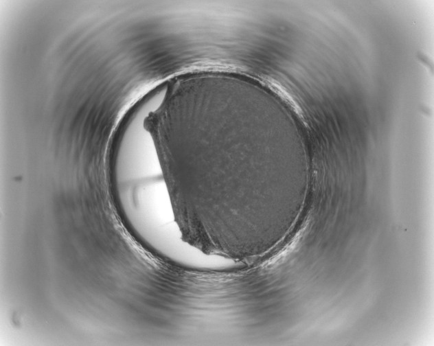 X0000093170981200710241036