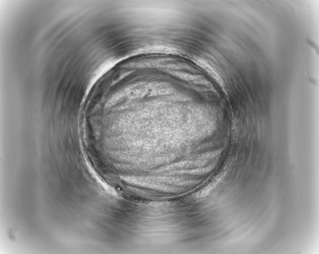 X0000093170989200710241036