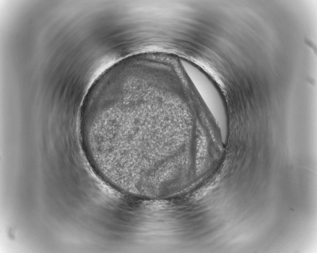 X0000093170991200710241036