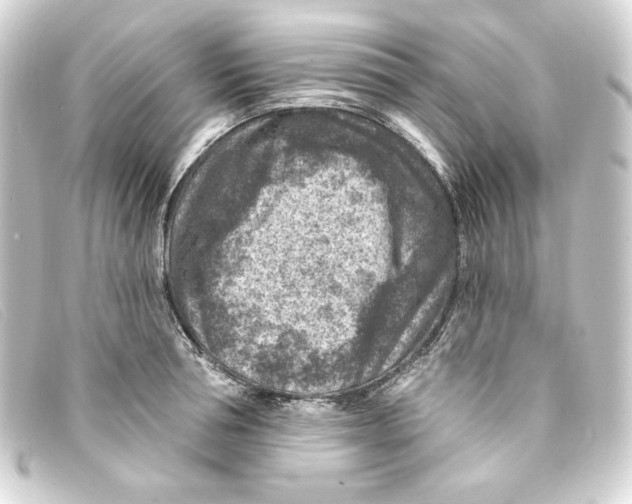 X0000093170994200710241036