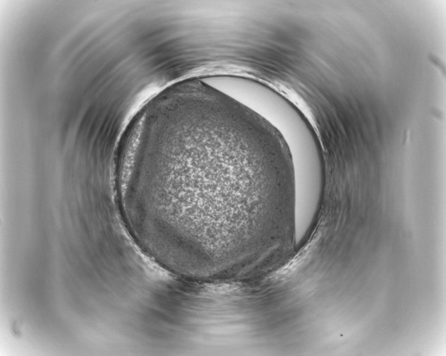 X0000093170997200710241036