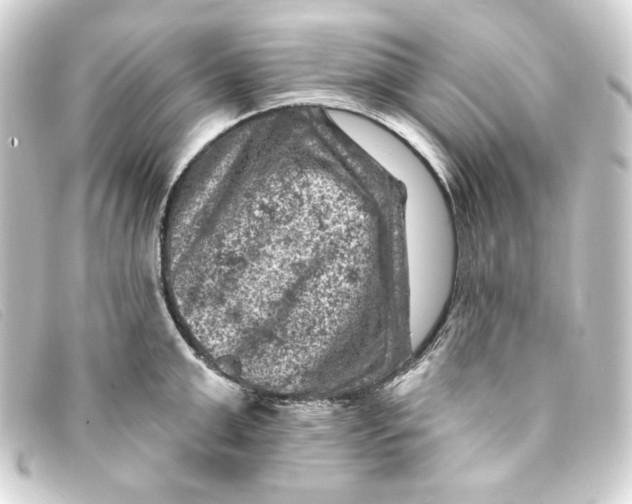 X0000093170999200710241036