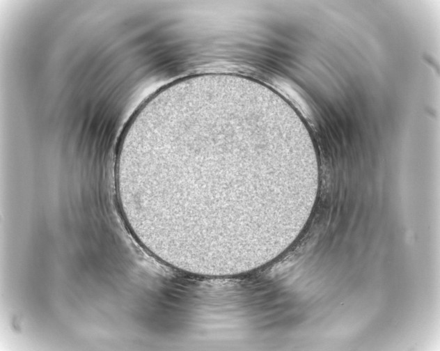 X0000093171000200710241036