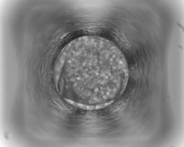 X0000093171009200710241035