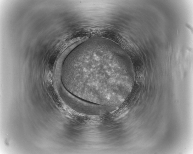 X0000093171010200710241035