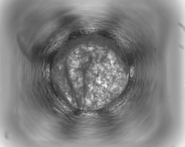 X0000093171011200710241035