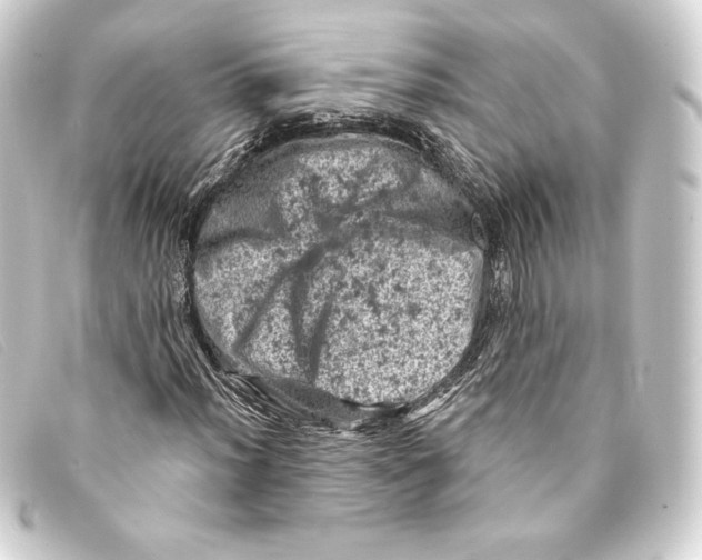 X0000093171012200710241035