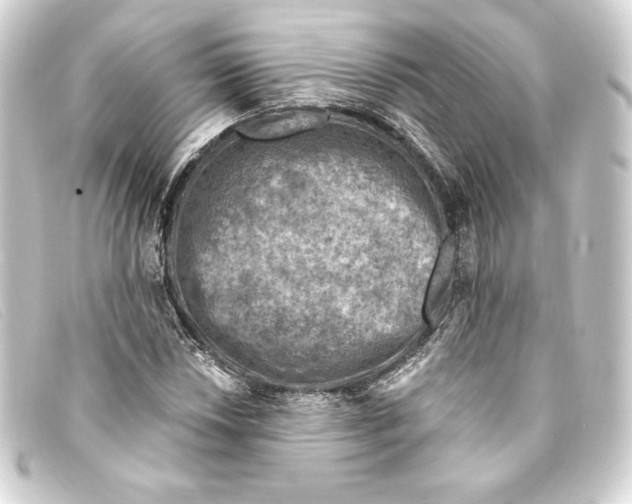 X0000093171018200710241035